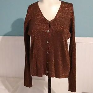 FINAL DROP! Beautiful Joseph A. Silk Blouse. L